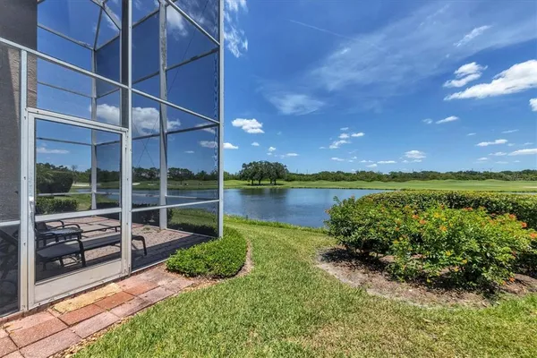 a view of a garden with plants