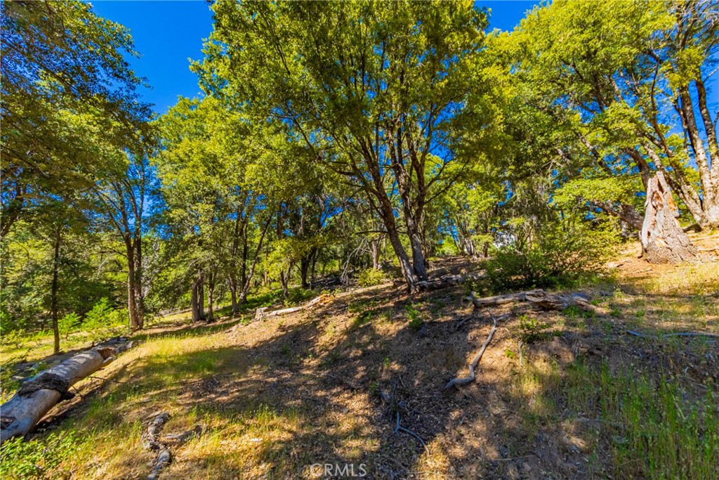 0 3 Springs Road Oakhurst, CA 93644 - Photo 3 of 20