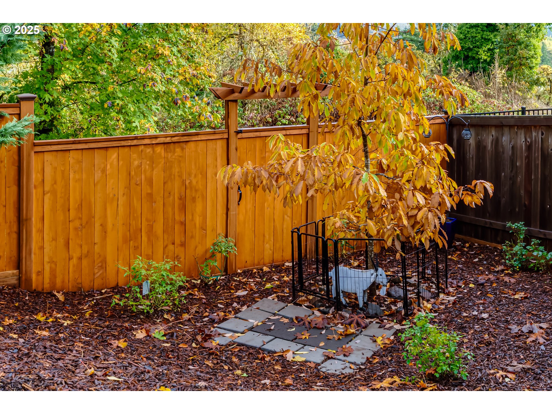 6452 Dogwood Street Springfield, OR 97478 - Photo 47 of 48