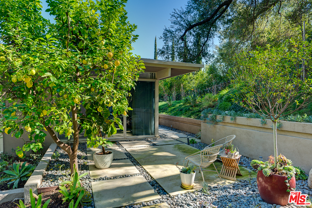 1490 El Mirador Drive Pasadena, CA 91103 - Photo 43 of 52 a backyard of a house with lots of green space
