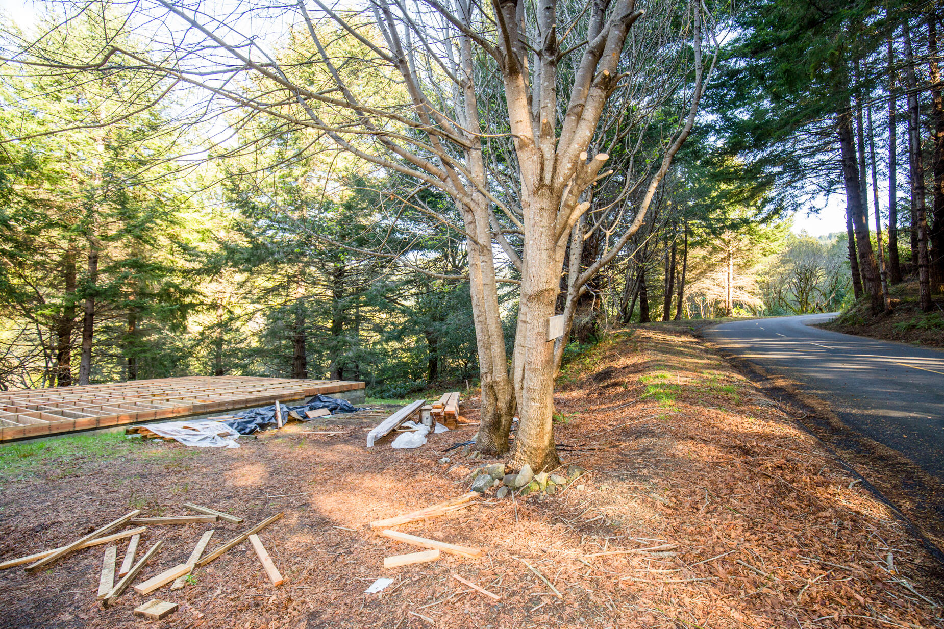 515 Beach Road Shelter Cove, CA 95589 - Photo 22 of 31