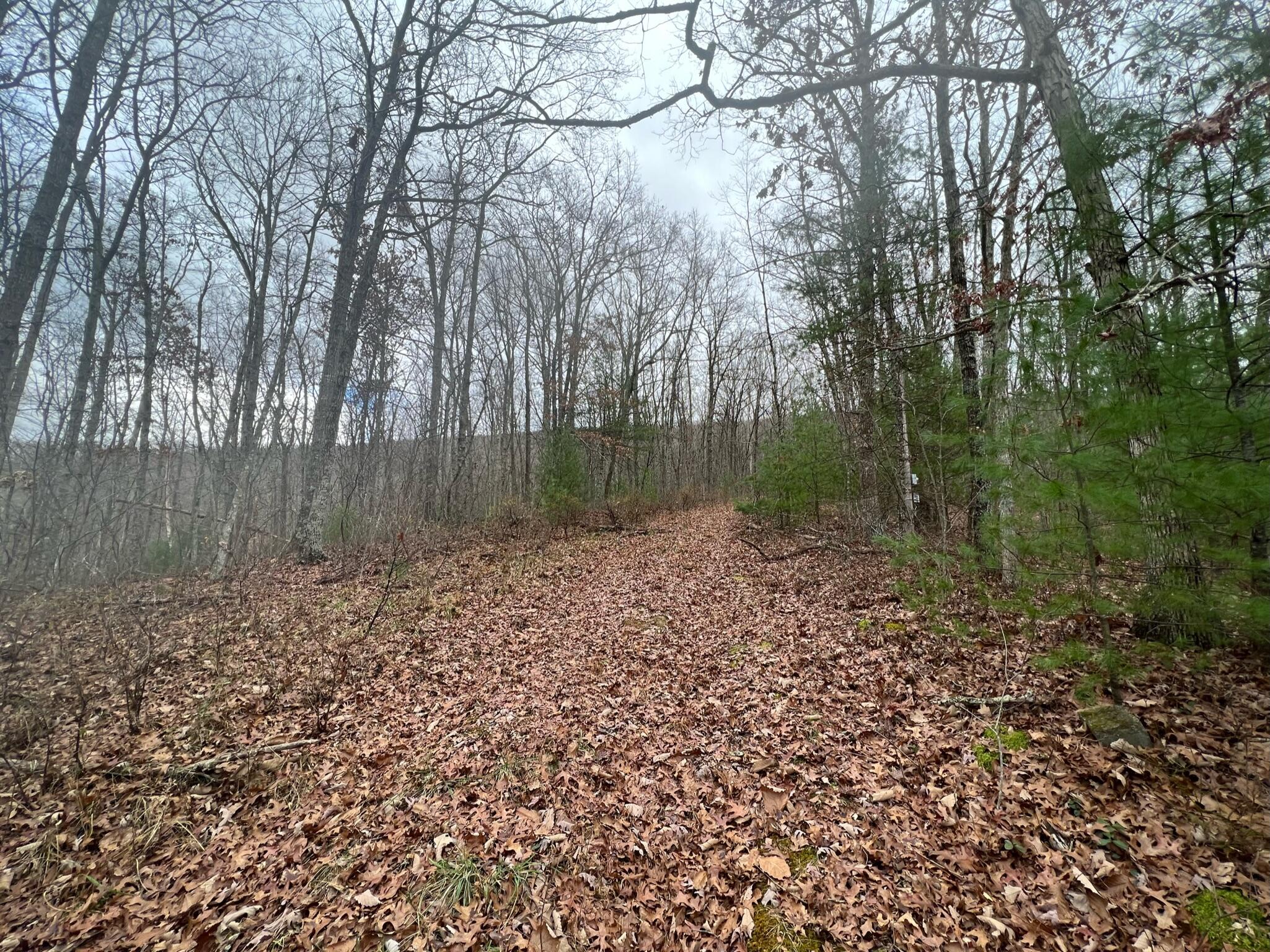 Wildcat Hill Road Gap Mills, WV 24941 - Photo 37 of 37 Gallery Image 37