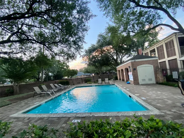 a view of a backyard with plants and a garden
