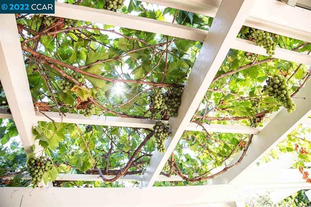 1027 Walnut Drive Lafayette, CA 94549 - Photo 18 of 18