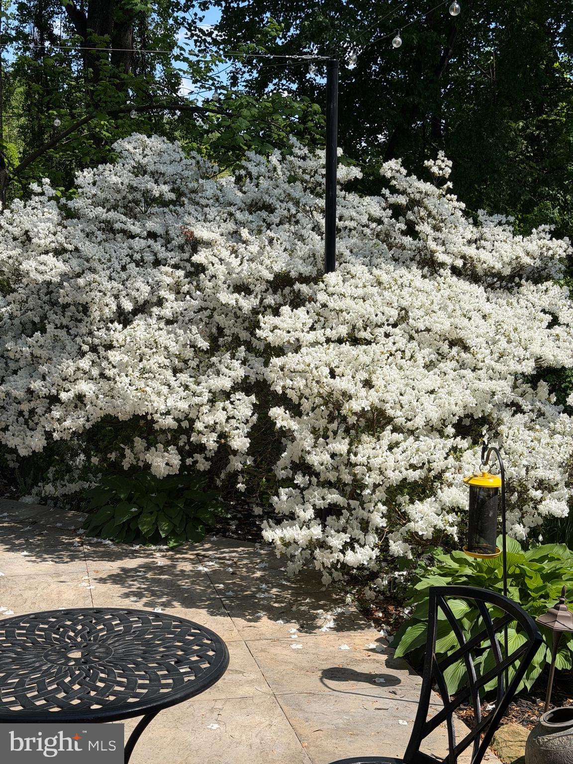 8309 Old Seven Locks Road Bethesda, MD 20817 - Photo 7 of 16