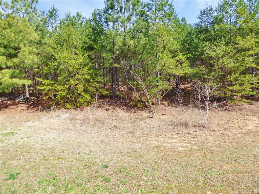 732 Raindrops Road Gastonia, NC 28054 - Photo 24 of 24 Gallery Image 24