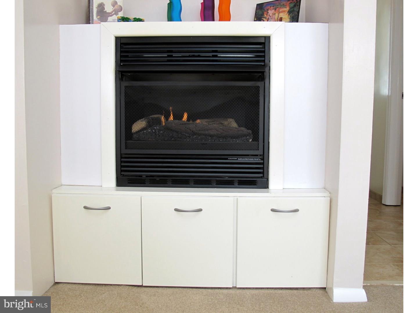 138 Red Stone Ridge Delran, NJ 08075 - Photo 16 of 25 Fireplace