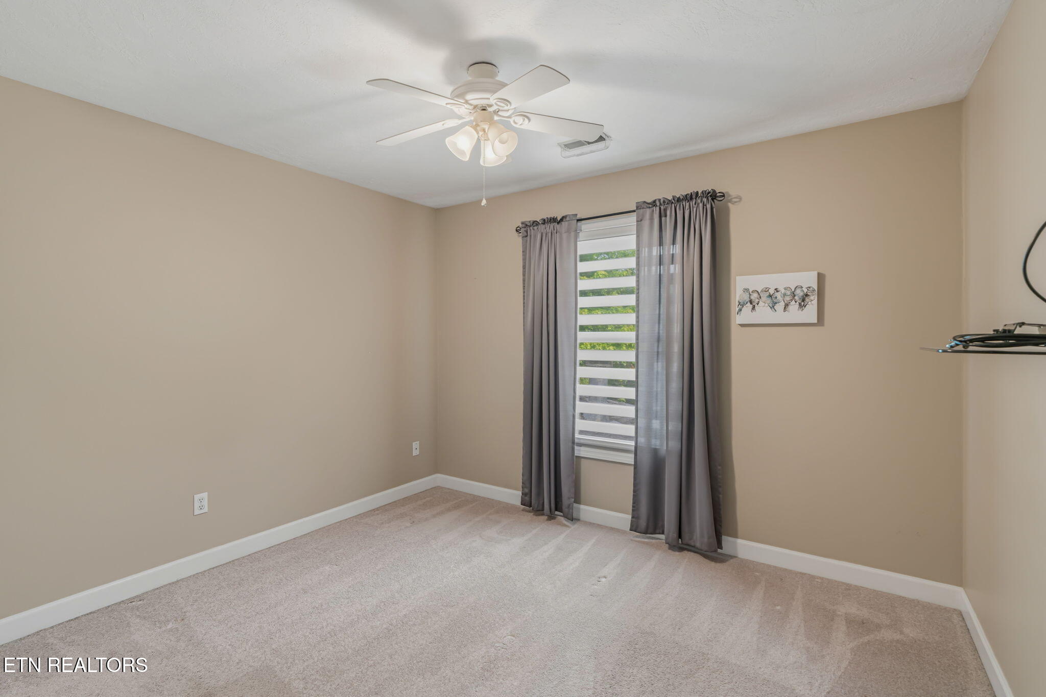 817 Tate Trotter Road Powell, TN 37849 - Photo 29 of 52 29-web-or-mls-817 Tate Trotter Road-22