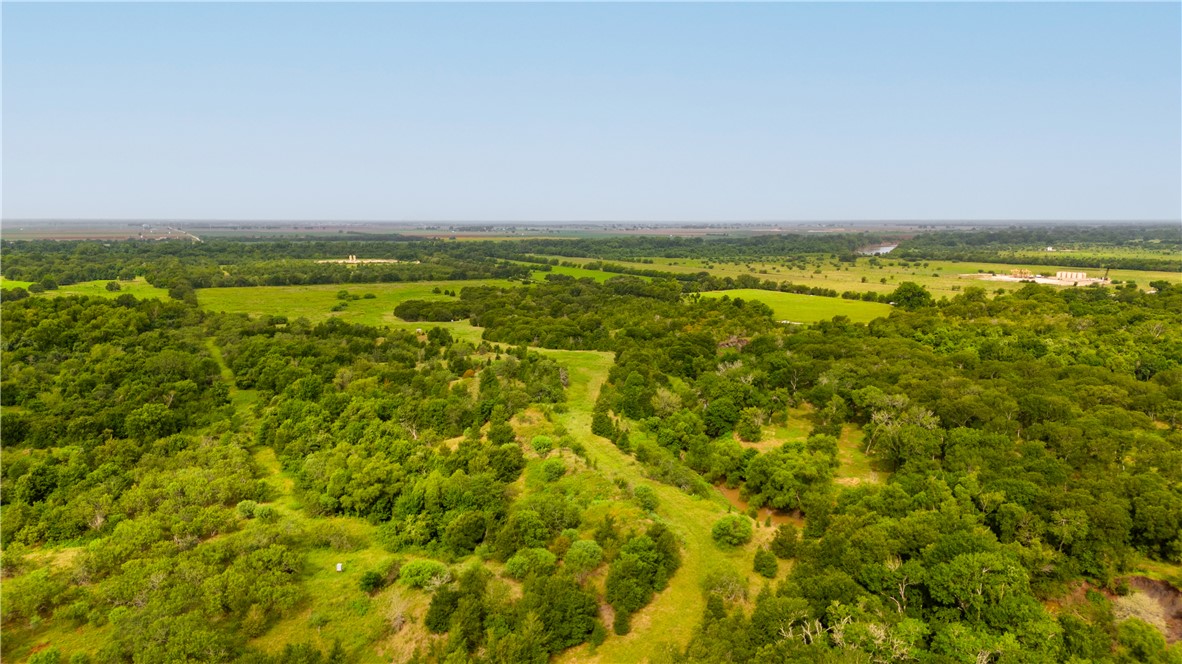 0 Leonard Road Bryan, TX 77807 - Photo 22 of 24 Drone / aerial view of a heavily wooded area
