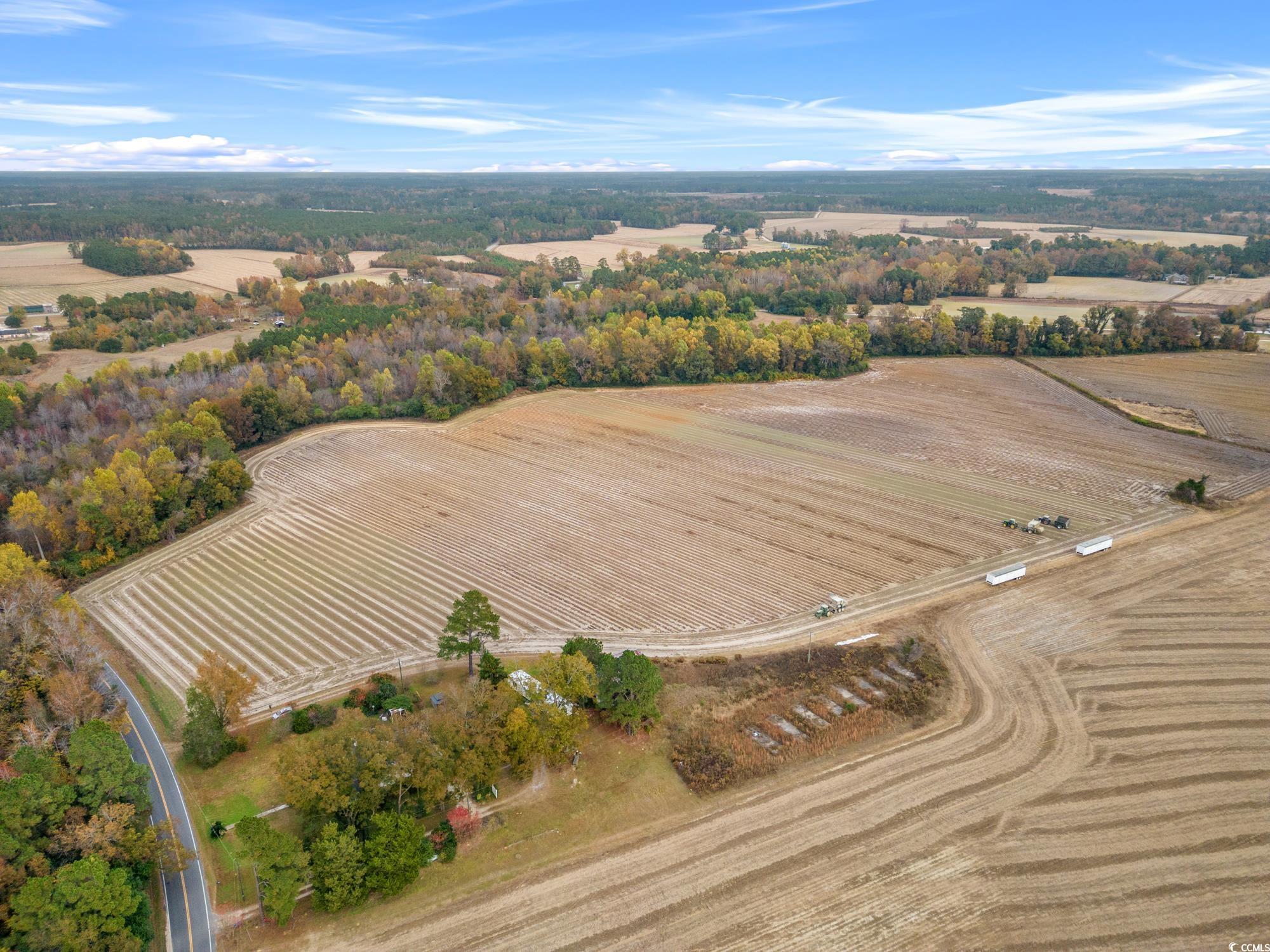 3125 Duford Road Nichols, SC 29581 - Photo 4 of 8 Gallery Image 4