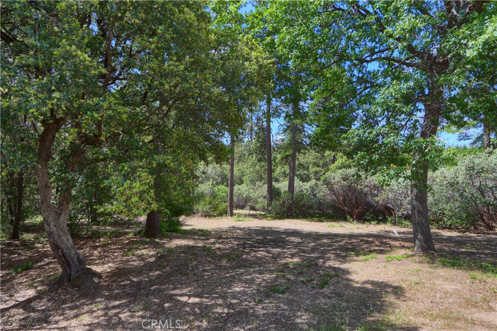 2843 East Westfall Road Mariposa, CA 95338 - Photo 37 of 47 a view of a tree in the middle of a yard