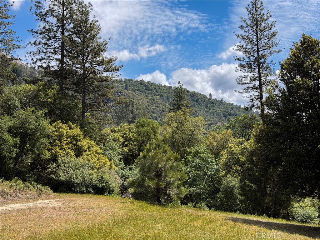 2843 East Westfall Road Mariposa, CA 95338 - Photo 41 of 47 a view of a yard with a house