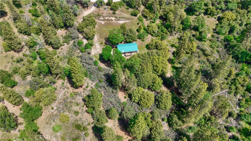 2843 East Westfall Road Mariposa, CA 95338 - Photo 43 of 47 a view of a garden with a building