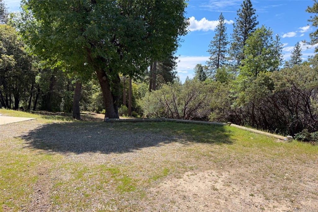 2843 East Westfall Road Mariposa, CA 95338 - Photo 45 of 47 a view of yard with tree