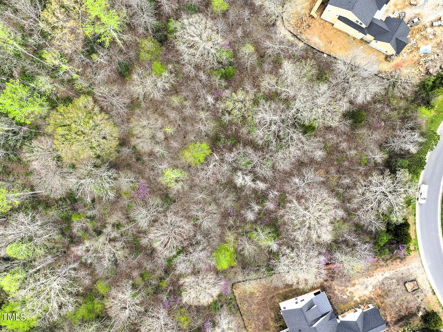 67 Lookout Ridge Pittsboro, NC 27312 - Photo 8 of 13 008