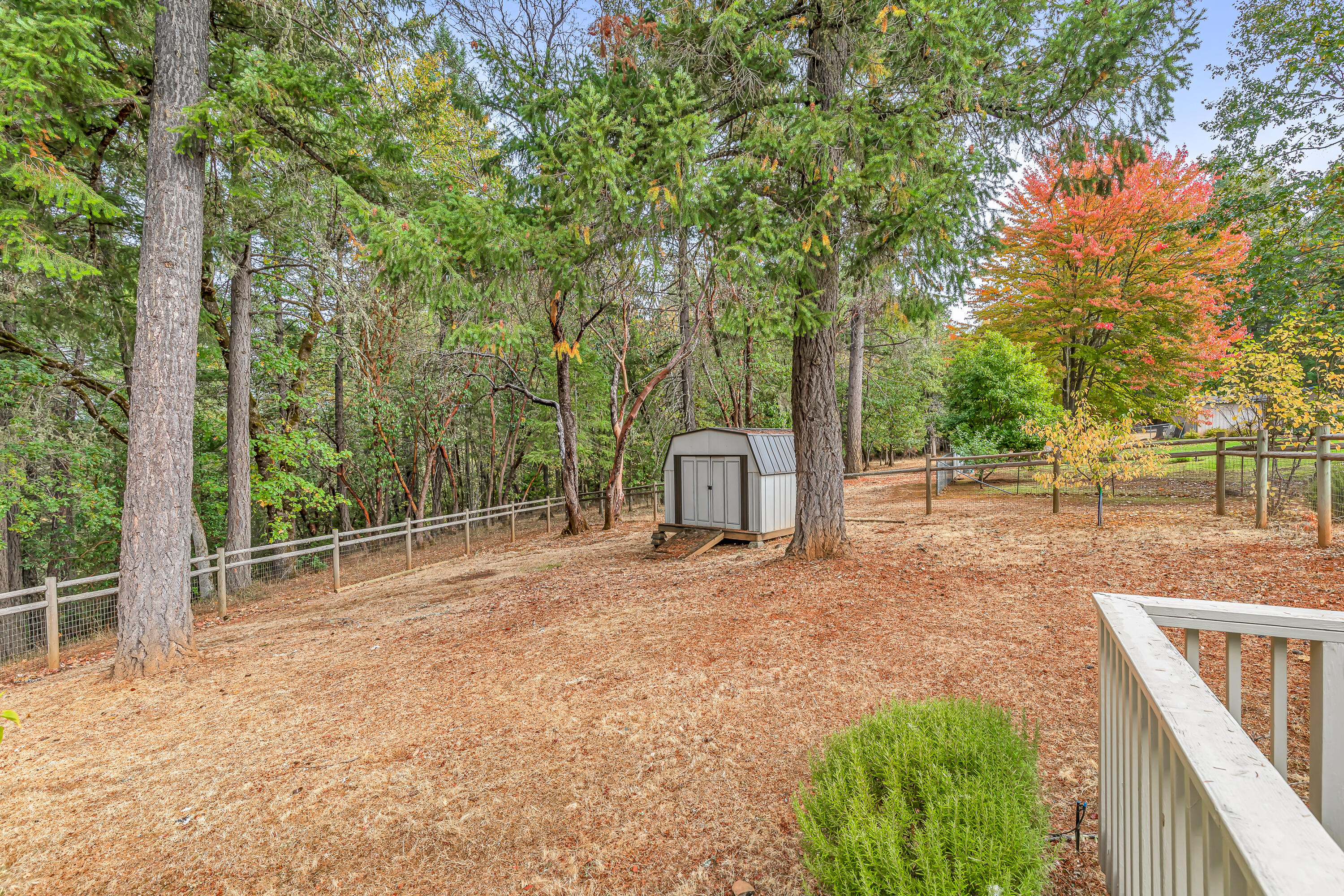 354 October Lane Merlin, OR 97532 - Photo 27 of 28 Rear Yard