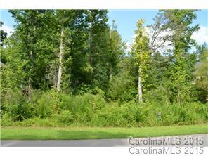 16 Maple Spring Court Denver, NC 28037 - Photo 2 of 18 Gallery Image 2