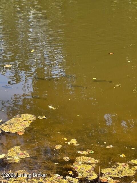 2300 Long Run Road Louisville, KY 40245 - Photo 111 of 113 Pond 2