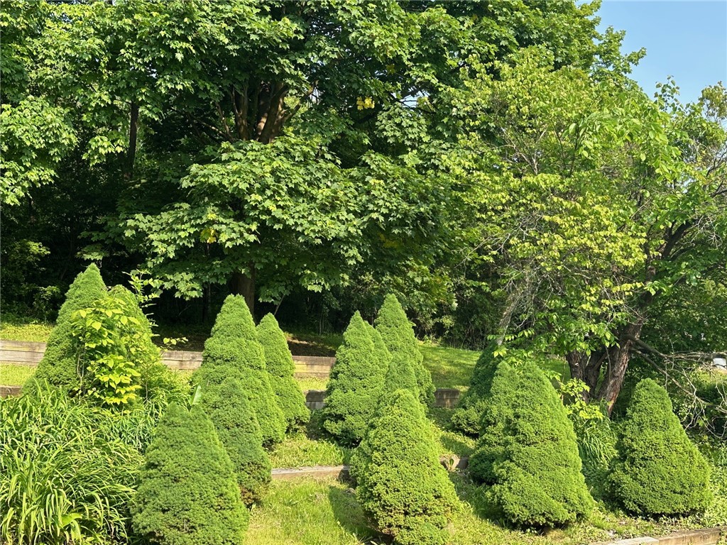 4963 West Lake Road Fleming, NY 13021 - Photo 9 of 45