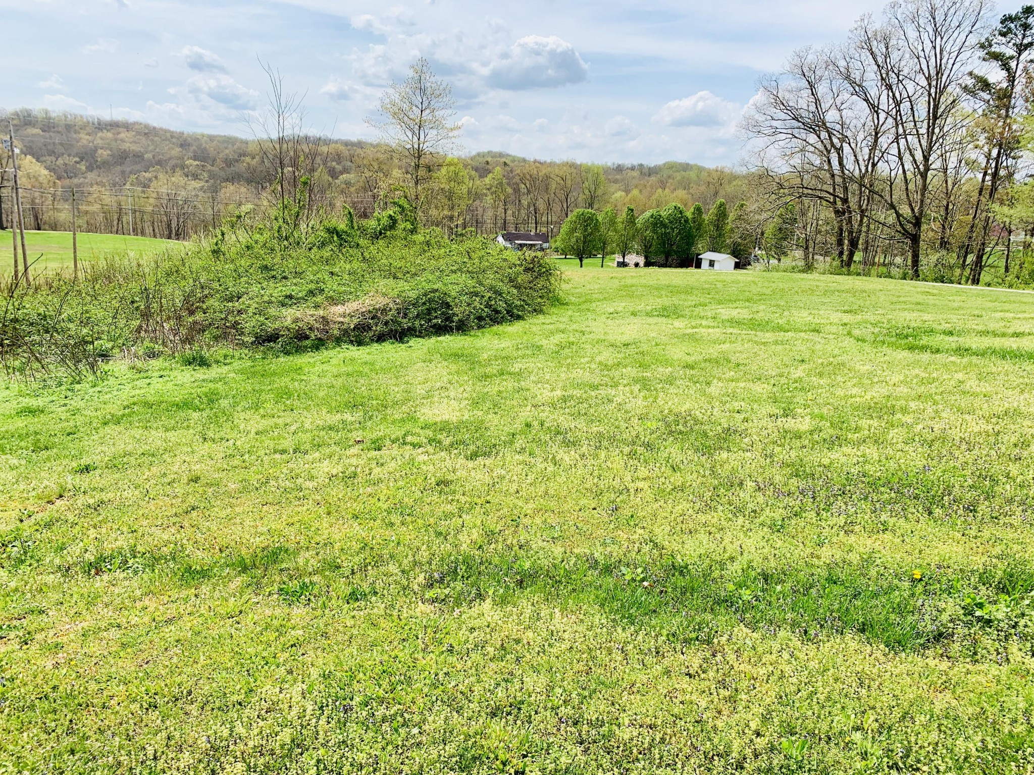 874 Mount View Road Robbins, TN 37852 - Photo 6 of 34 Gallery Image 6
