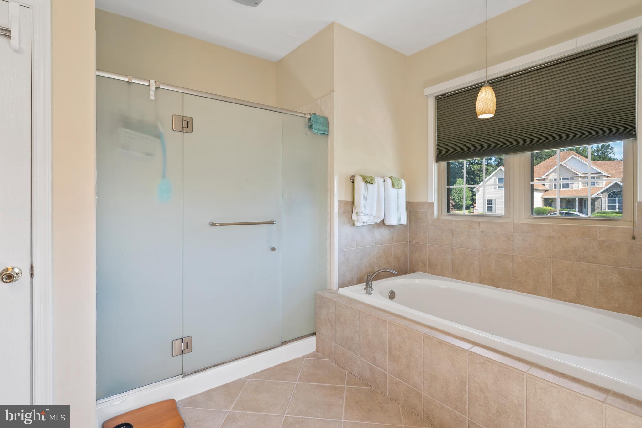 6 Putter Lane Georgetown, DE 19947 - Photo 25 of 37 1st floor master bath tub and shower