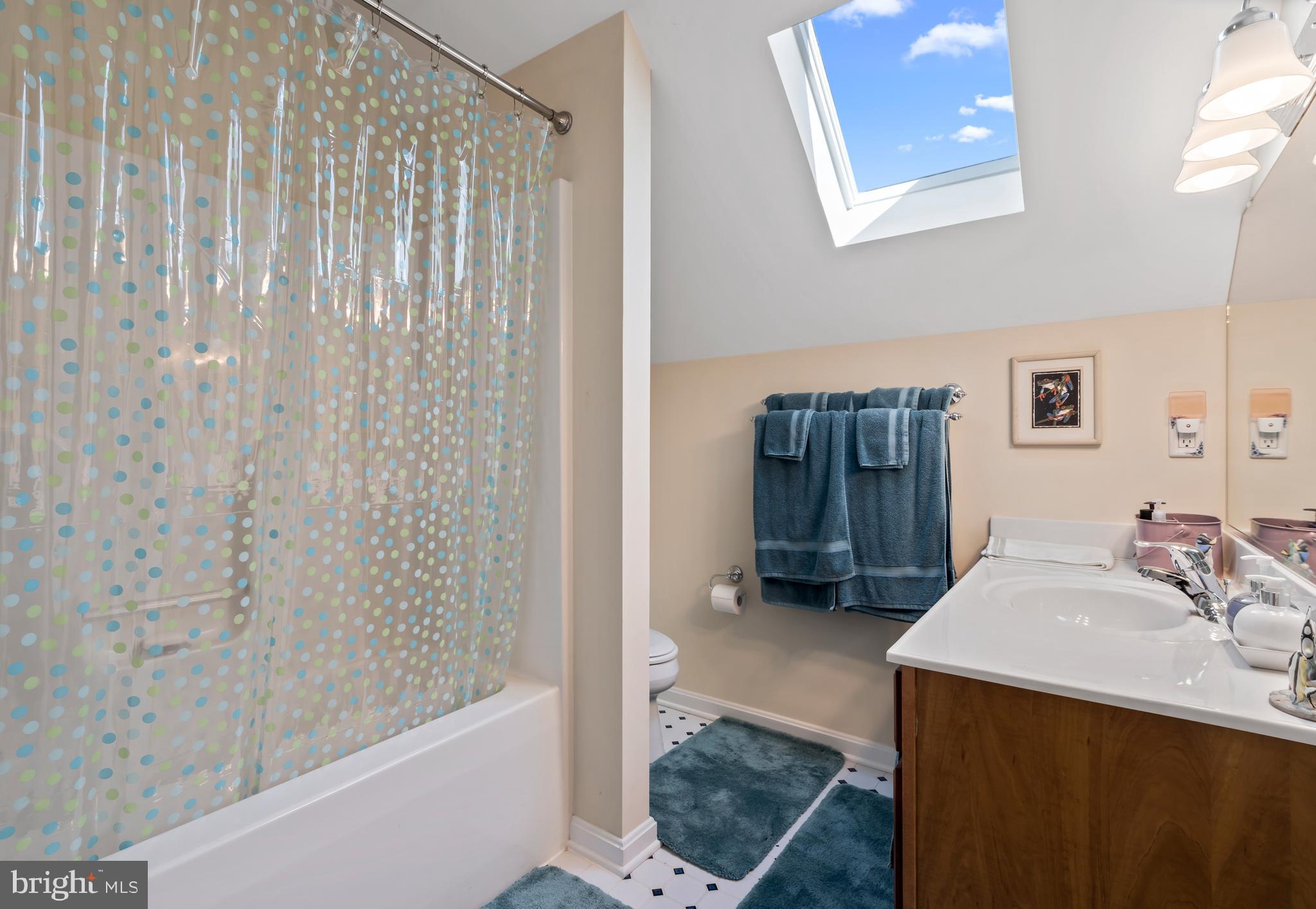 6 Putter Lane Georgetown, DE 19947 - Photo 30 of 37 2nd floor full bath with skylight