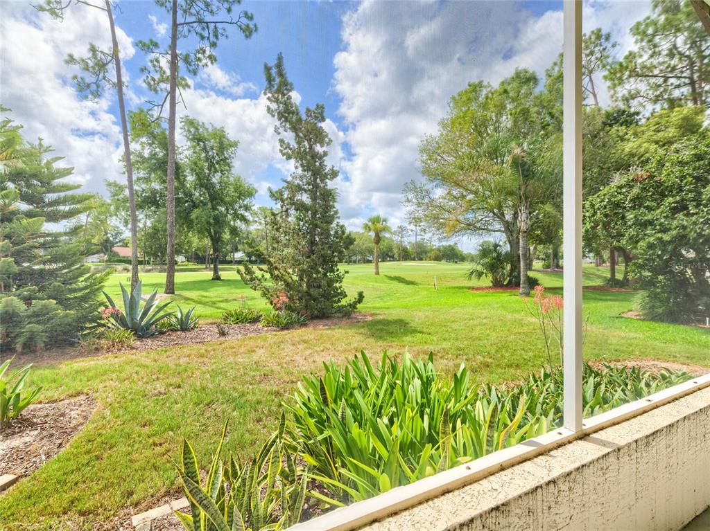 11228 Windrush Circle Hudson, FL 34667 - Photo 37 of 67