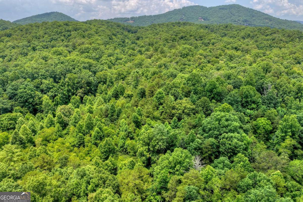 0 Scots Glen Road Mineral Bluff, GA 30559 - Photo 19 of 19