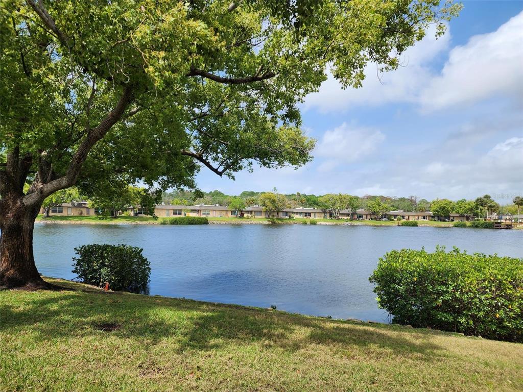 4127 Hampton Drive, Unit 4127 New Port Richey, FL 34652 - Photo 2 of 20