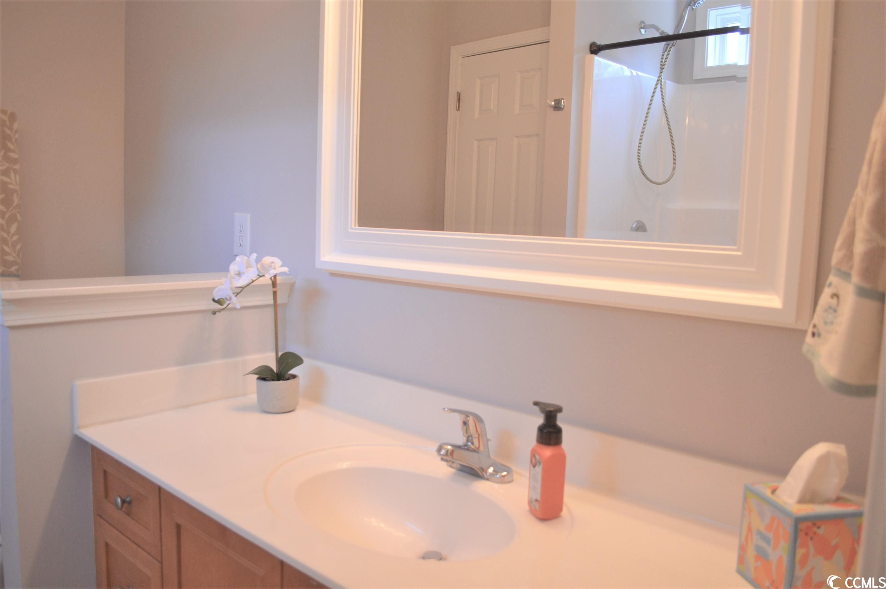 349 St Patties Loop Murrells Inlet, SC 29576 - Photo 19 of 31 Gallery Image 19