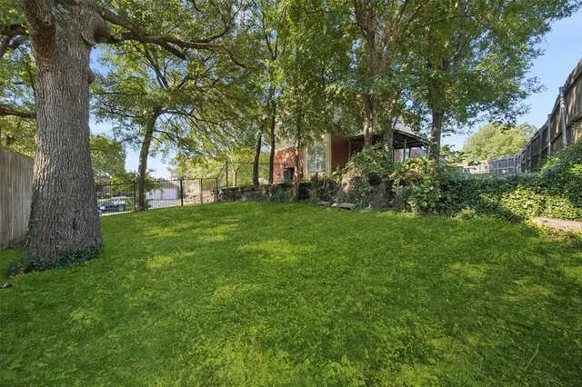 a view of a yard with a tree