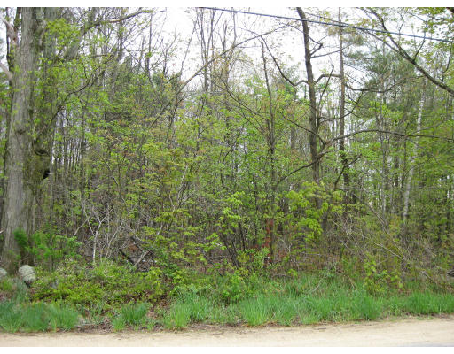 Lot 2 Pitcherville Road Hubbardston, MA 01452 - Photo 1 of 1 Gallery Image 1