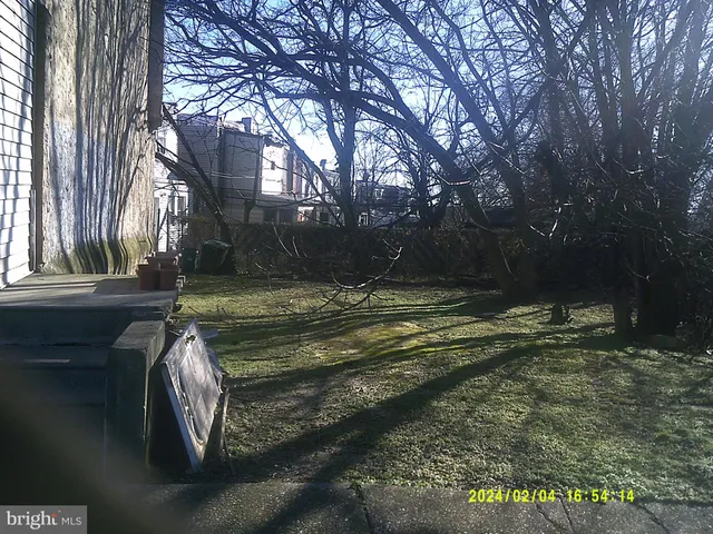 a view of a backyard with large trees