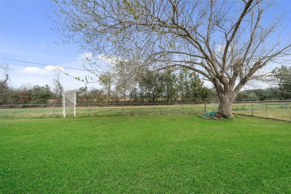 a view of a park with large trees