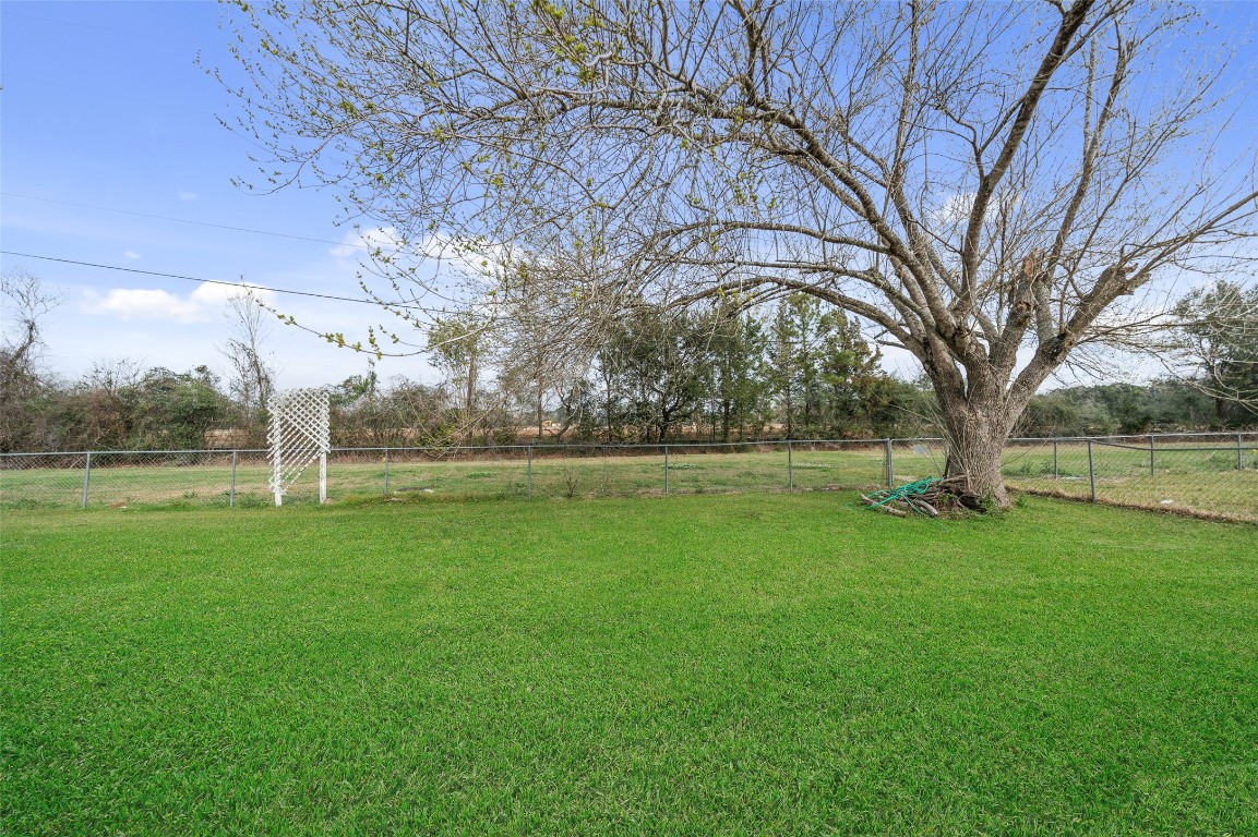 355 Windsor Square Alvin, TX 77511 - Photo 22 of 22 Spacious backyard with lush green grass, featuring a large tree and a lattice structure. Enclosed by a chain-link fence, offering privacy and a serene natural view.