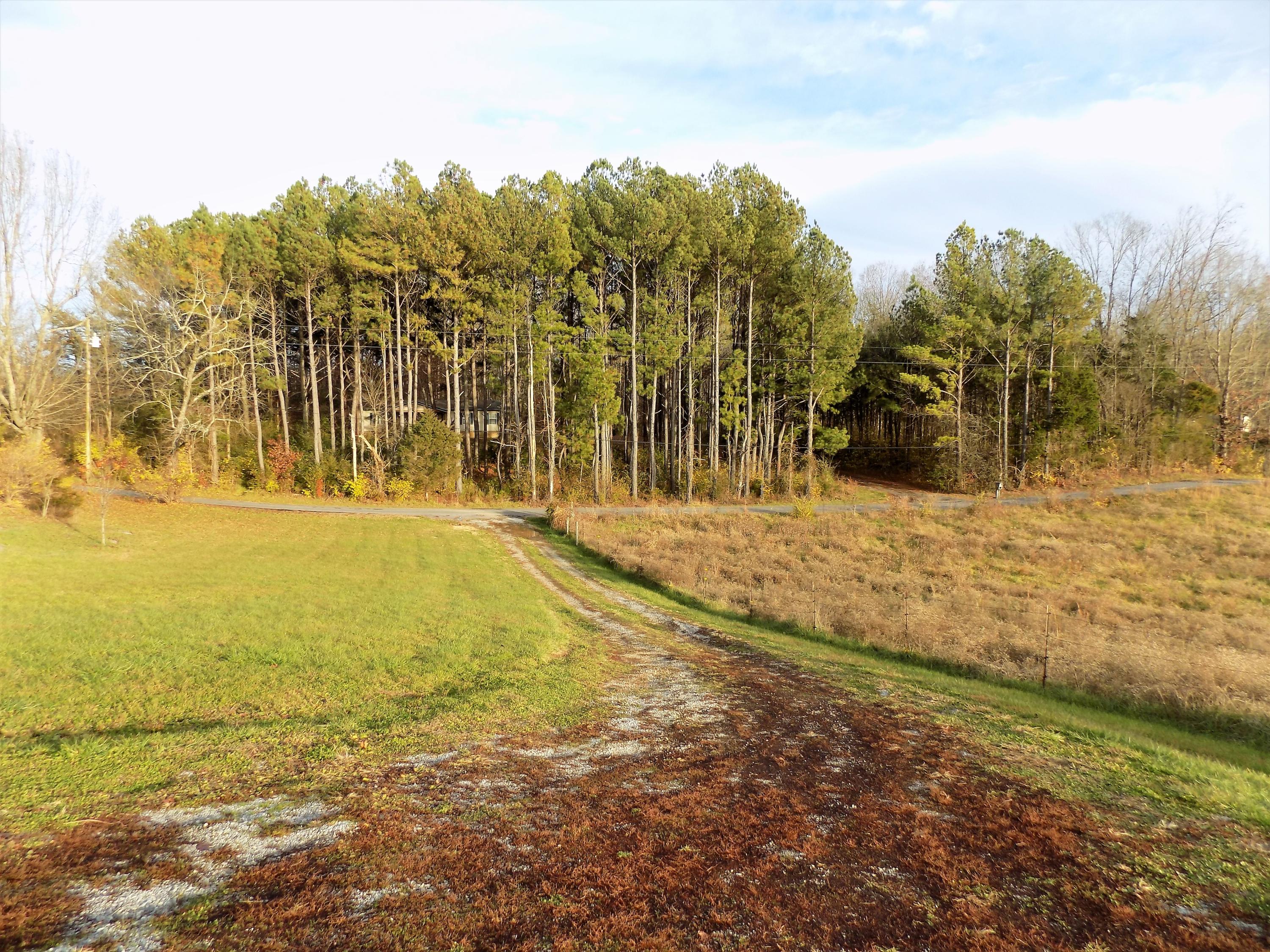 2109 Fraker Road Jefferson City, TN 37760 - Photo 24 of 35 Driveway