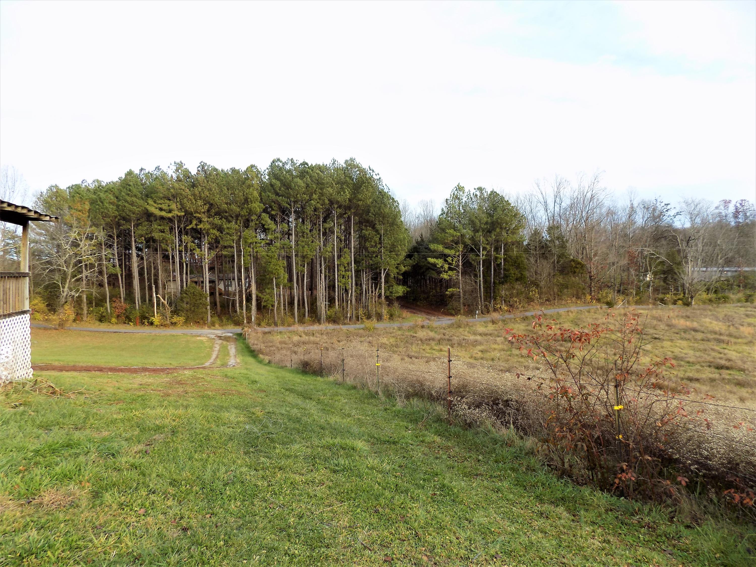 2109 Fraker Road Jefferson City, TN 37760 - Photo 34 of 35 Front yard