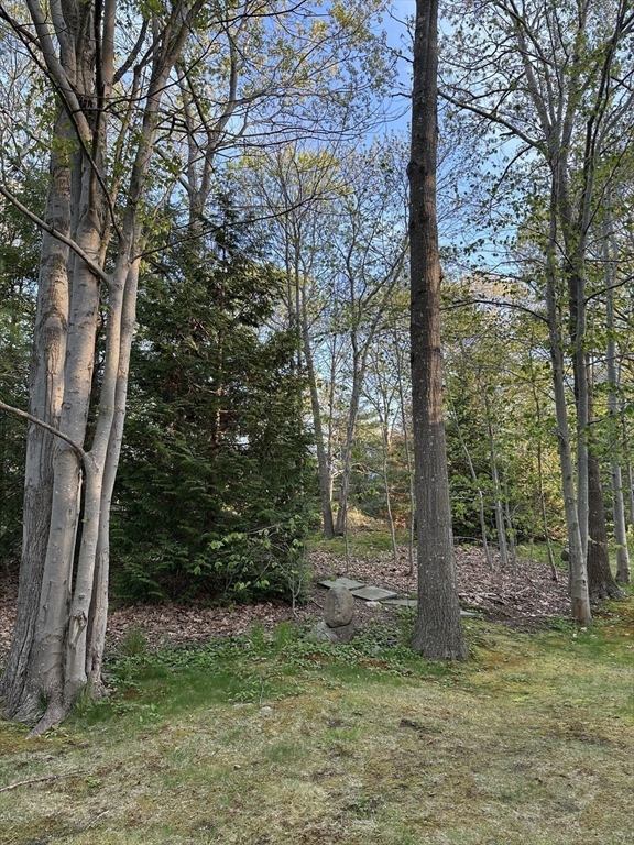 2 Orchard Lane Manchester, MA 01944 - Photo 14 of 16