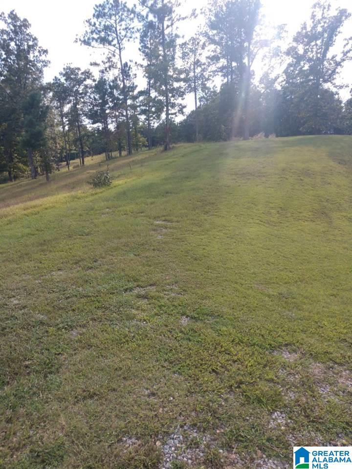 Lot 7 A Mcmahon Highland Road, Unit 7A Calera, AL 35040 - Photo 5 of 6