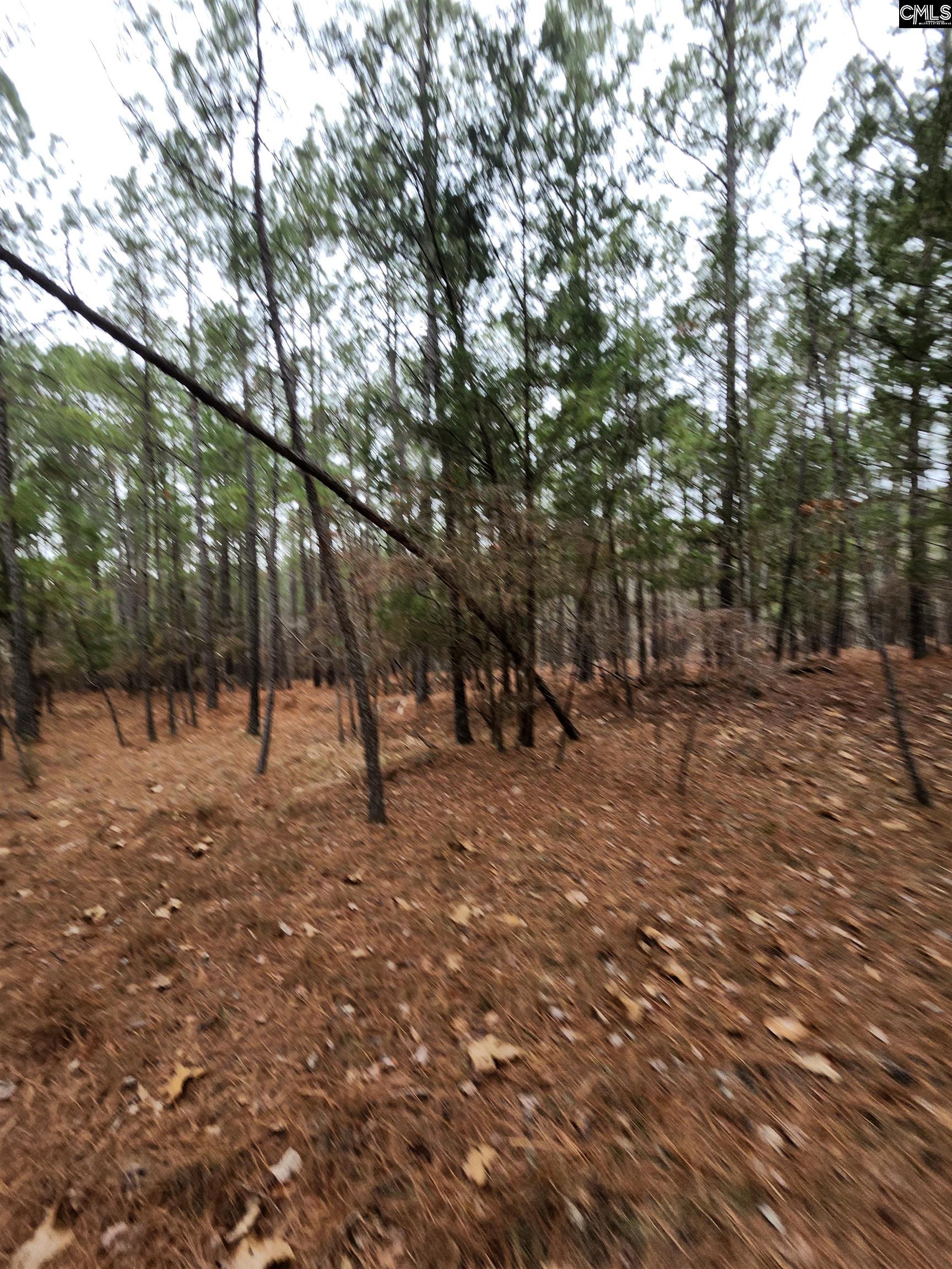 Tbd Colonels Circle Ridgeway, SC 29130 - Photo 7 of 11