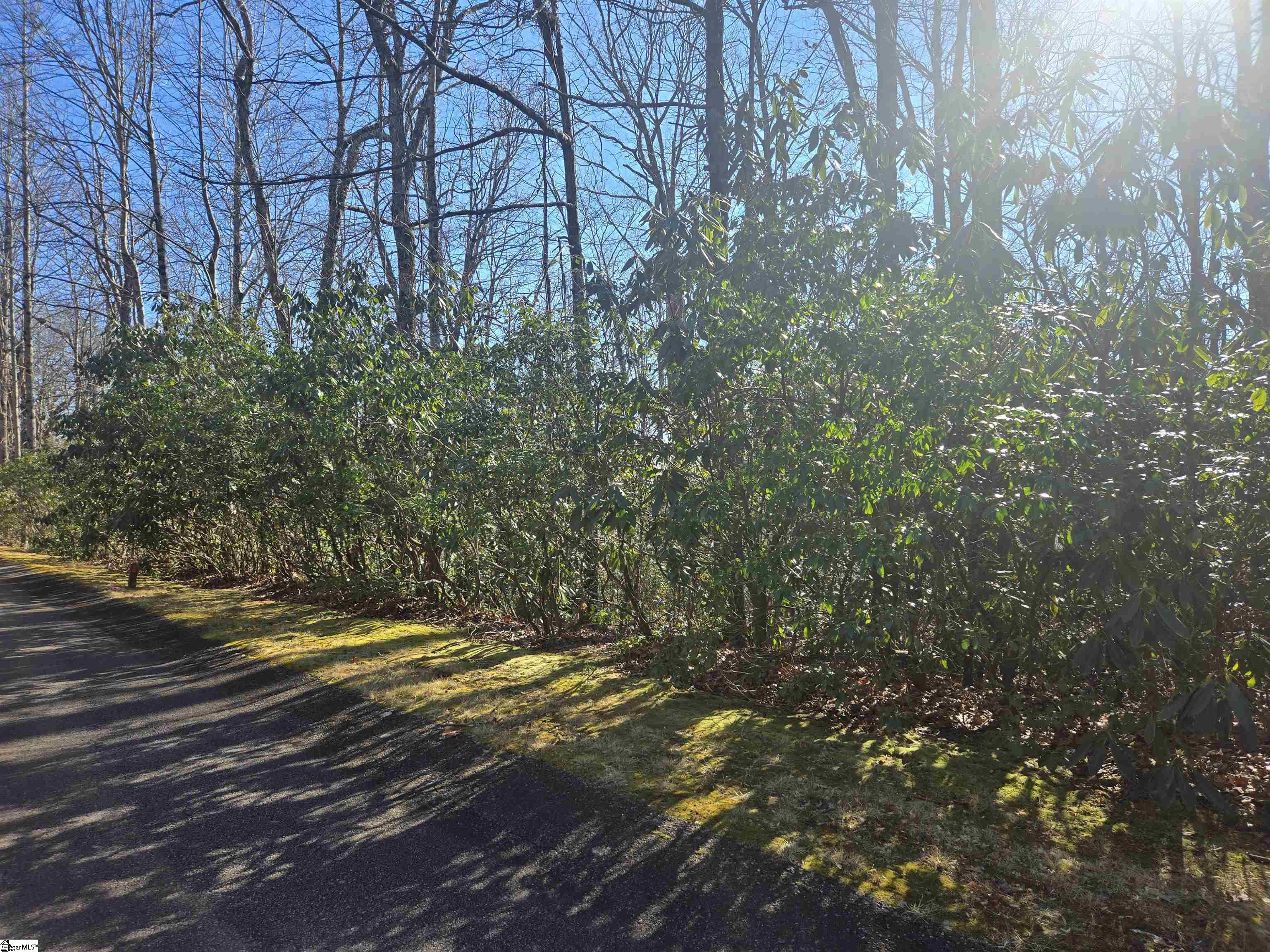 0 Birchbend Cleveland, SC 29635 - Photo 2 of 6