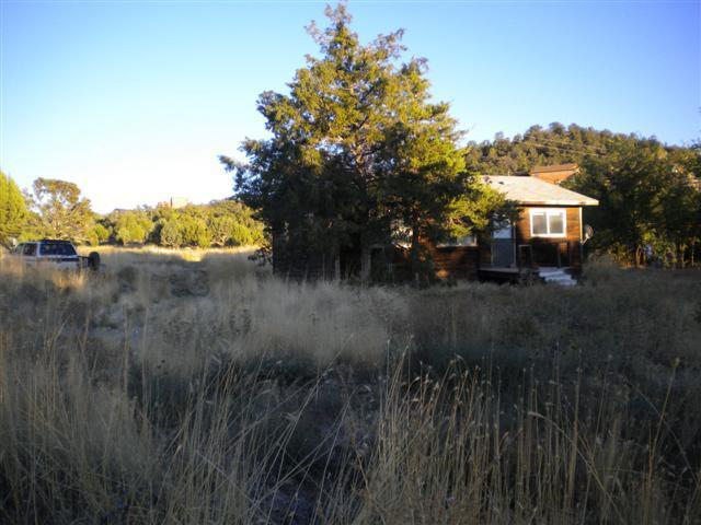 Cabin /home site