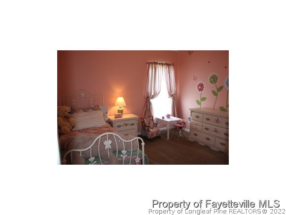 194 Wallflower Road Raeford, NC 28376 - Photo 8 of 17 Gallery Image 8