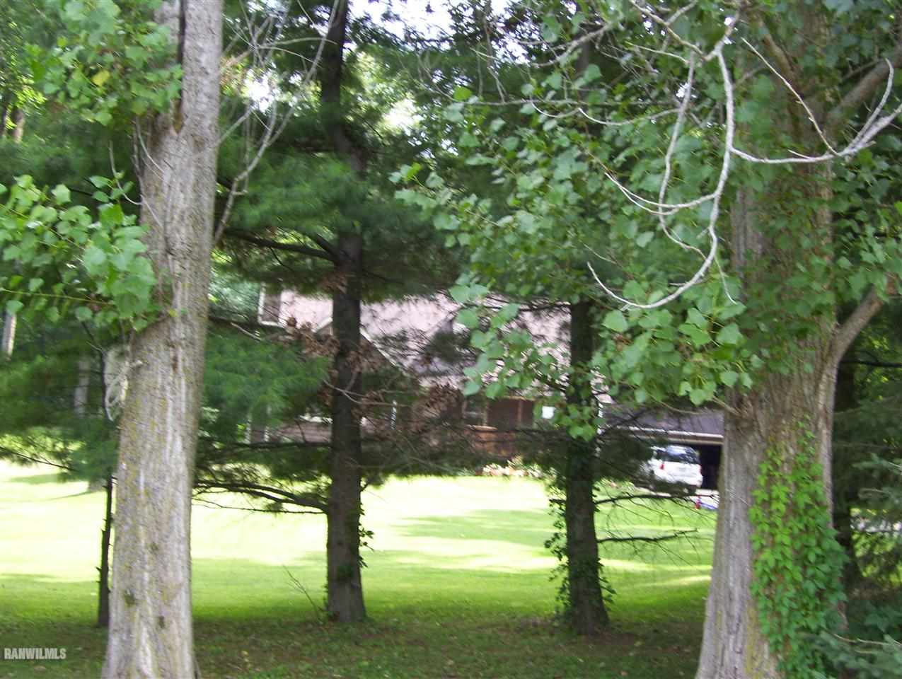 17910 Yale Bridge Road Davis, IL 61019 - Photo 10 of 11 a view of yard with a tree