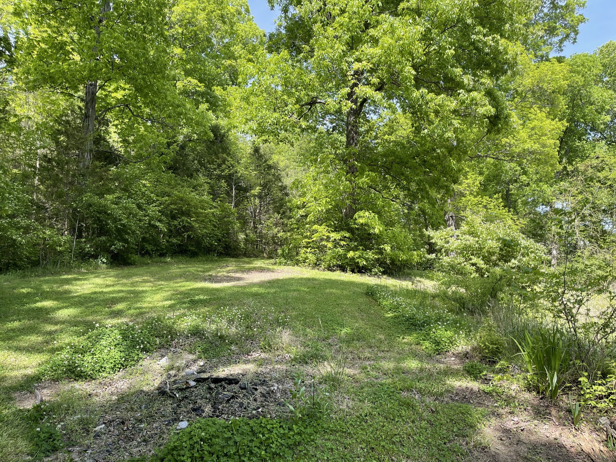 4392 North Chapel Road Franklin, TN 37067 - Photo 8 of 9 a view of outdoor space and yard
