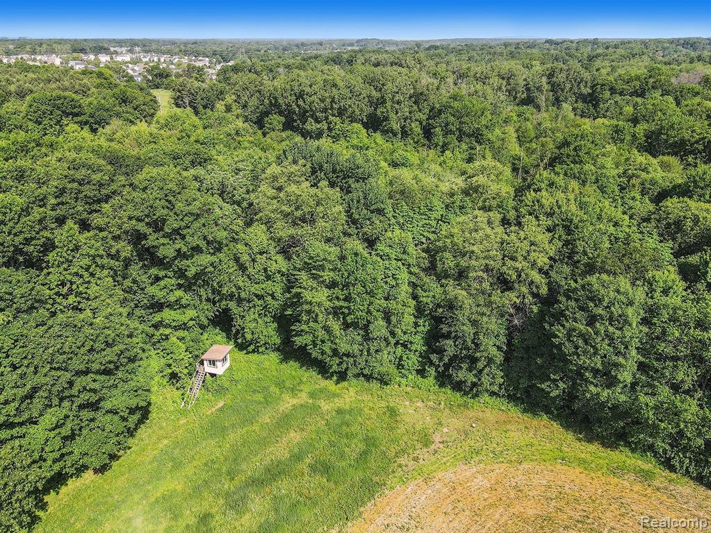 955 North Hughes Road Howell, MI 48843 - Photo 39 of 49