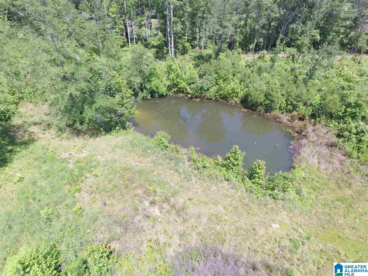 Slasham Road, Unit 10 Ashville, AL 35953 - Photo 1 of 9