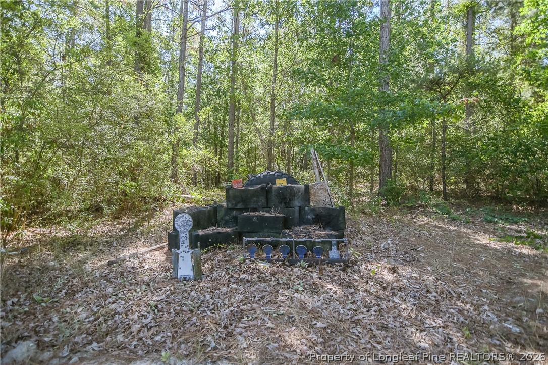 21181 Traders Road Laurel Hill, NC 28351 - Photo 48 of 49