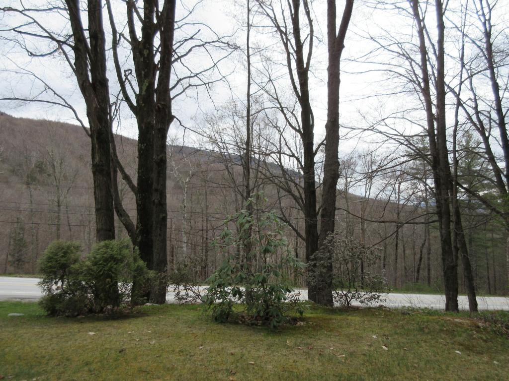 5887 Route 11 Route Londonderry, VT 05148 - Photo 4 of 28 Gallery Image 4
