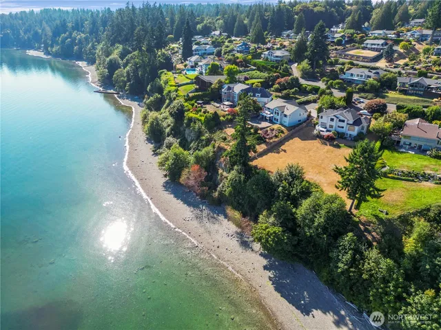 a view of a lake with a tree